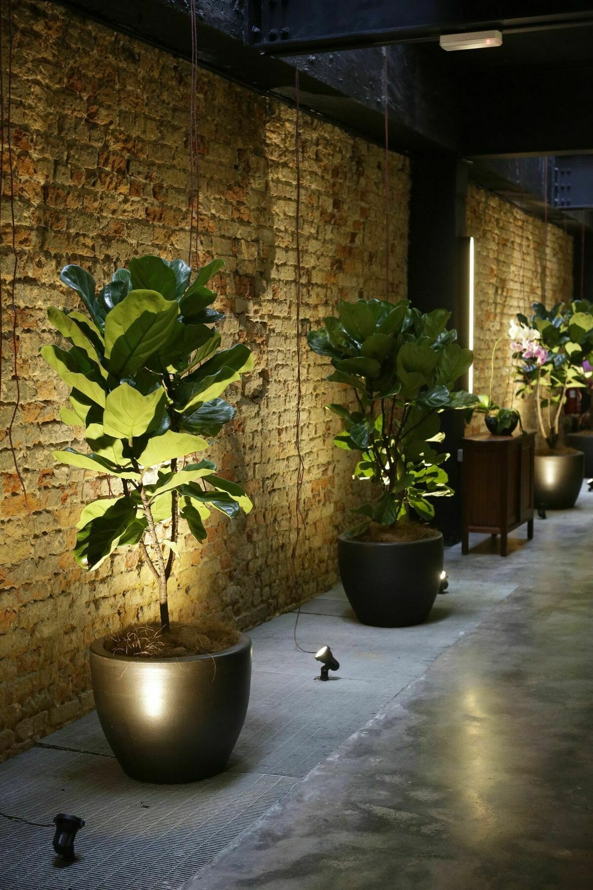 Tian Jing Hotel Kuala Lumpur Exterior foto